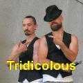 045 Tridicolous